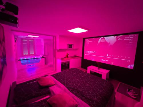 Studio Love Room spa 2 places et cinéma (Studio Love Room spa 2 places et cinema) in Saint-Mesmes