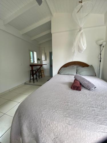 Akunamatata Guest House Grand Case in Saint Martin