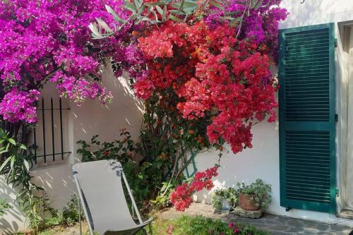 Casa con Ulivo e Bella Vista Vicino Parco C. Terre