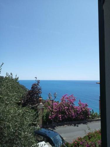  Casa con Ulivo e Bella Vista Vicino Parco C. Terre in Zoagli