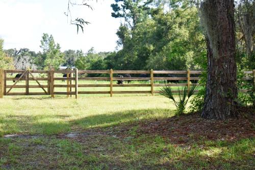 Luxurious Farm House 63 Acres