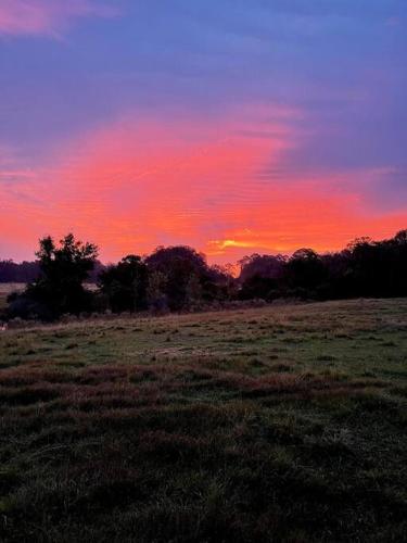63 Acre Farmstay - A luxury farm experience in San Mateo, USA