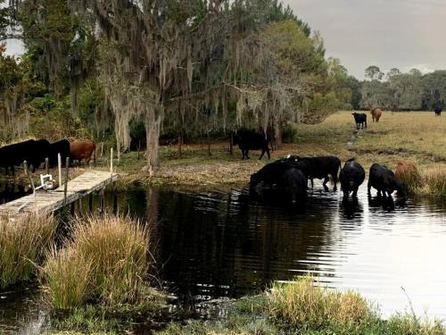 63 Acre Farmstay - A luxury farm experience in San Mateo, USA