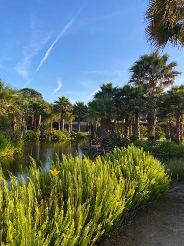 Surrounding environment, Refugio do Lago in Frossos
