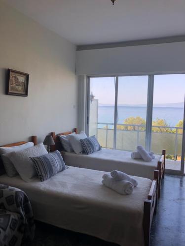 Apartment Rentals,Vacation Booking Kalamata Greece