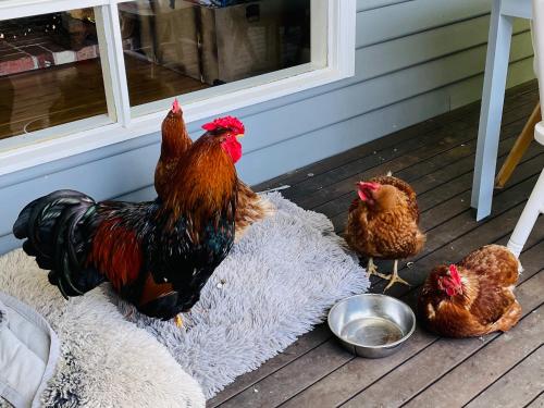 Farm Stay MAPLE Cottage at Wilindi Estate