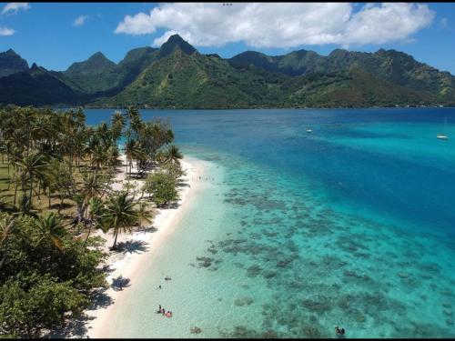 Fare Juliette in ニュウラ