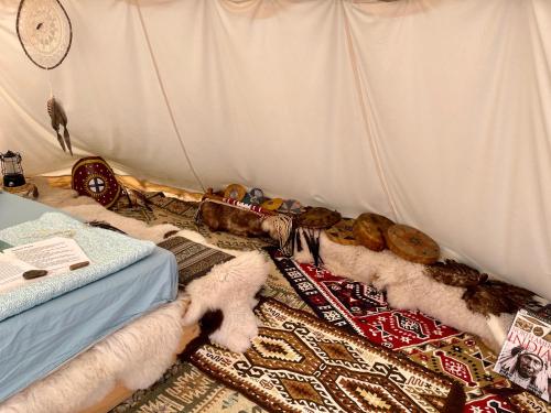 Romantic Wildlife & Stars Teepee Experience Apuseni Mountains in Sunksujusa