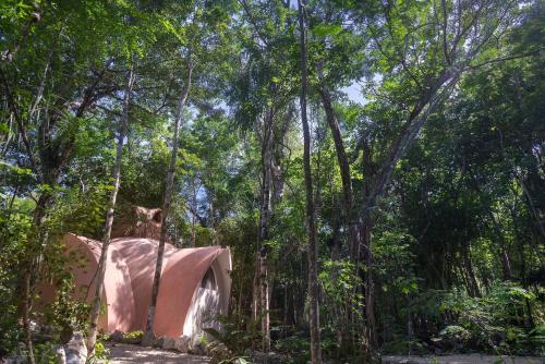 Room in Lodge - Ecolush Couple Mayan Dome cenote Bikes in Tulum, Mexico