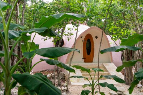 Room in Lodge - Eco-lush Double Mayan Dome Cenote And Bikes