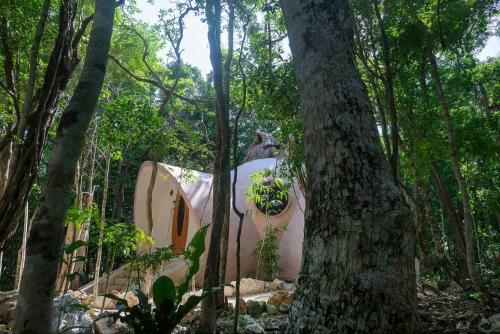 Room in Lodge - Eco-lush Double Mayan Dome Cenote And Bikes