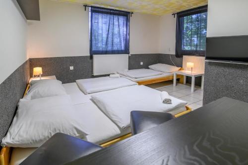 Hostel Seven - image 5