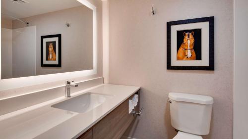 King Suite image 3