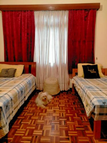 Ravine Gardens Complex