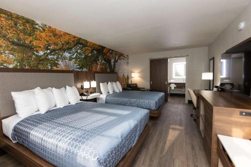 Queen Rooms with Two Queen Beds - Non-Smoking
