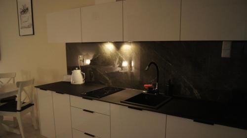 One-Bedroom Apartment image 9