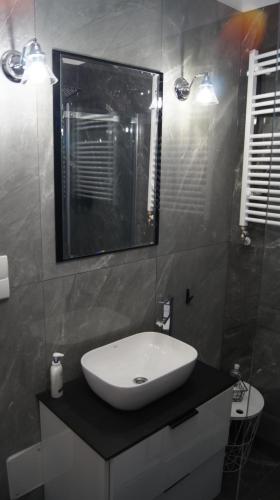 One-Bedroom Apartment image 2