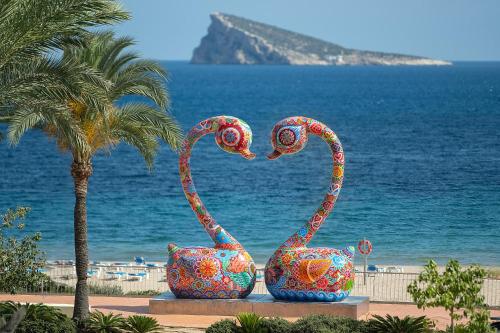 Hotel Poseidon Playa - image 7