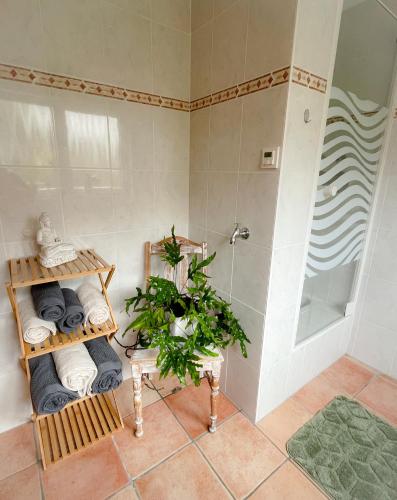 Modernes Appartement im Grünen - Stilvoll und komfortabel, Colonia (foto 10)