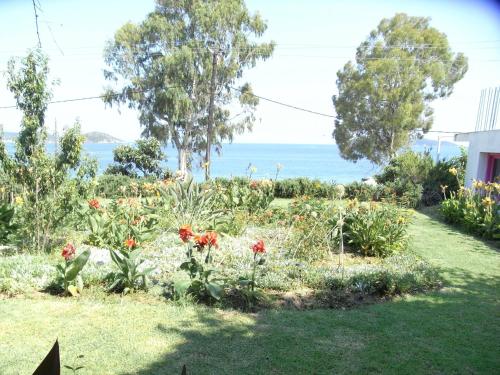  Nefi (Adult Friendly) in 37002 Megali Ammos
