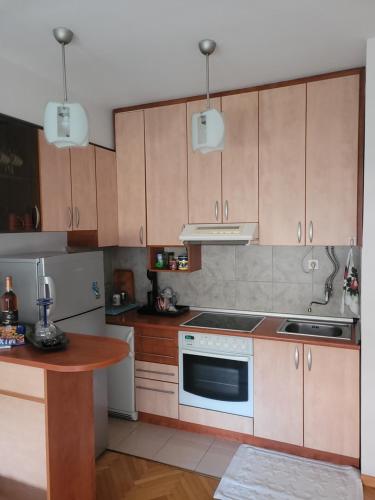 Nika's Apartment, Skopje (photo 3)