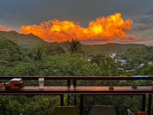Wonderland Jungle Hostel - 주변 환경