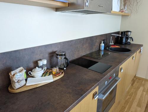 Studio Apartment with Sauna