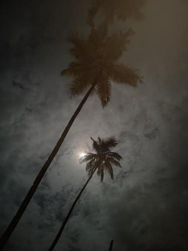 Bluemoon By Neelchand, Canacona (fotografie 6)