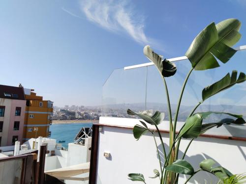 Suite with Terrace image 2