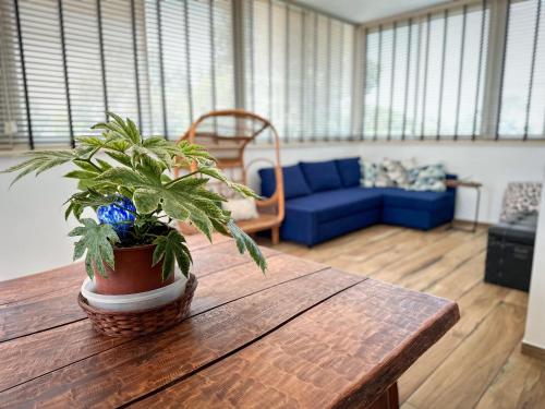 הסוויטה הפנורמית - Panoramic Suite in Gidona