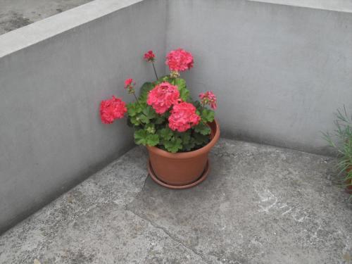 Apartment Maja - image 4
