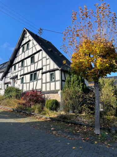 Surrounding environment, Traumhaus am Maar 3 in Schalkenmehren