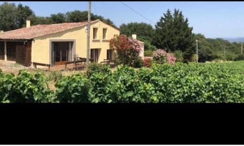 La Maison Tourouzelle in Pauligne