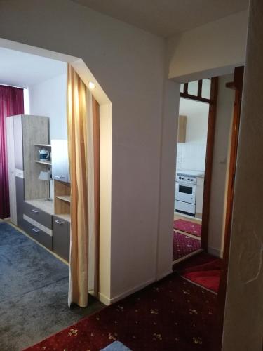 Apartament central