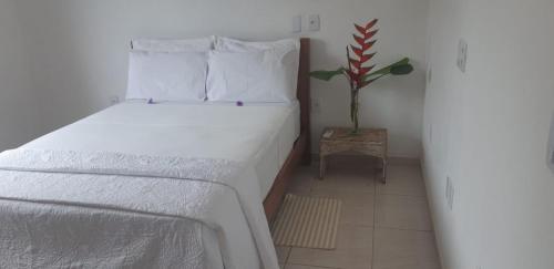 Casa Flor