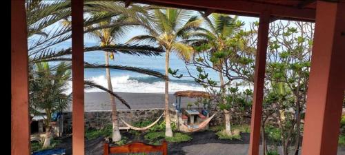 Tortuga B&B