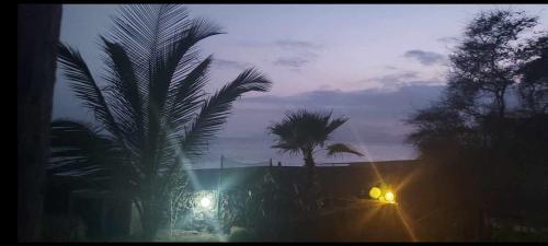 Tortuga B&B
