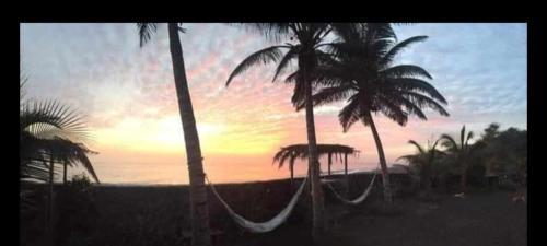 Tortuga B&B