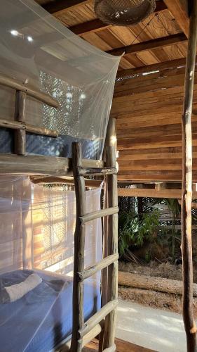 The Valley Tayrona hostel- A social jungle hostel – Santa Marta, IN