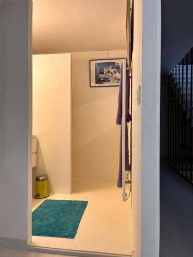 ห้องน้ำ, Chambre cozy spacieuse, intra-muros, clim, parking in แอกเกอ มอร์เตอ