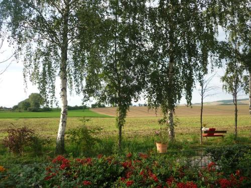 Ümbrus, Erpelhaus in ländlicher Idylle mit Stadtnähe zu Erfurt und Weimar (Erpelhaus in landlicher Idylle mit Stadtnahe zu Erfurt und Weimar) in Nohra