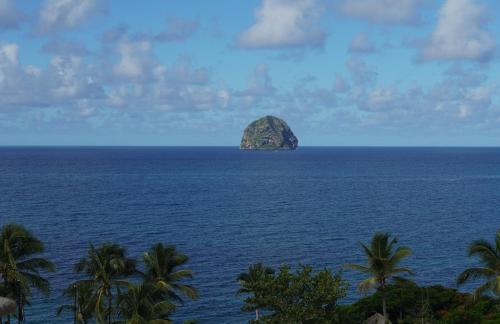 Studio GAP Studio GAP