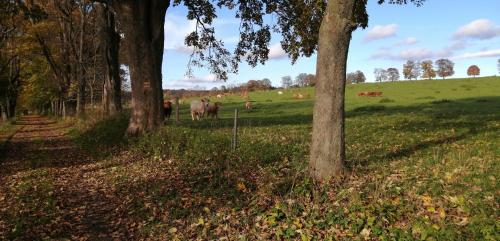 Plně vybavený 2+1byt s balkonem a kójí pro kola a lyže. (Plne vybaveny 2+1byt s balkonem a koji pro kola a lyze.) in Svitavy
