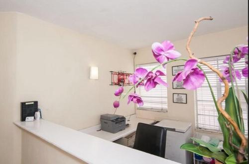 Island House South Beach in Miami Beach (FL)