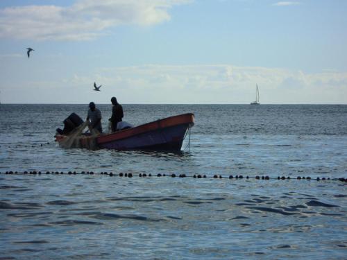 Studio GAP Studio GAP