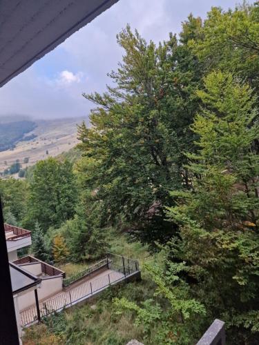 Apkārtne, La Tana del Capriolo in Pietracamela