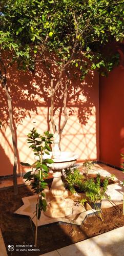 maison d'hôtes Le petit jardin Marrakech