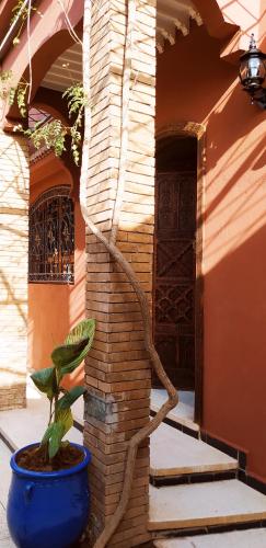 maison d'hôtes Le petit jardin Marrakech