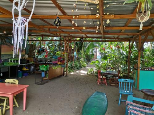 кухня, Oasis Beachfront Hostel in Puerto Viejo de Talamanca