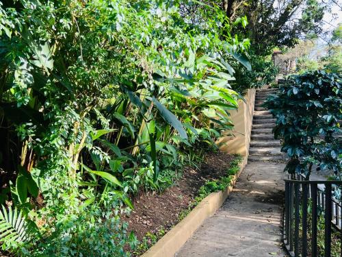 Pintu masuk, Don Jarvey I Bed & Breakfast in Monteverde